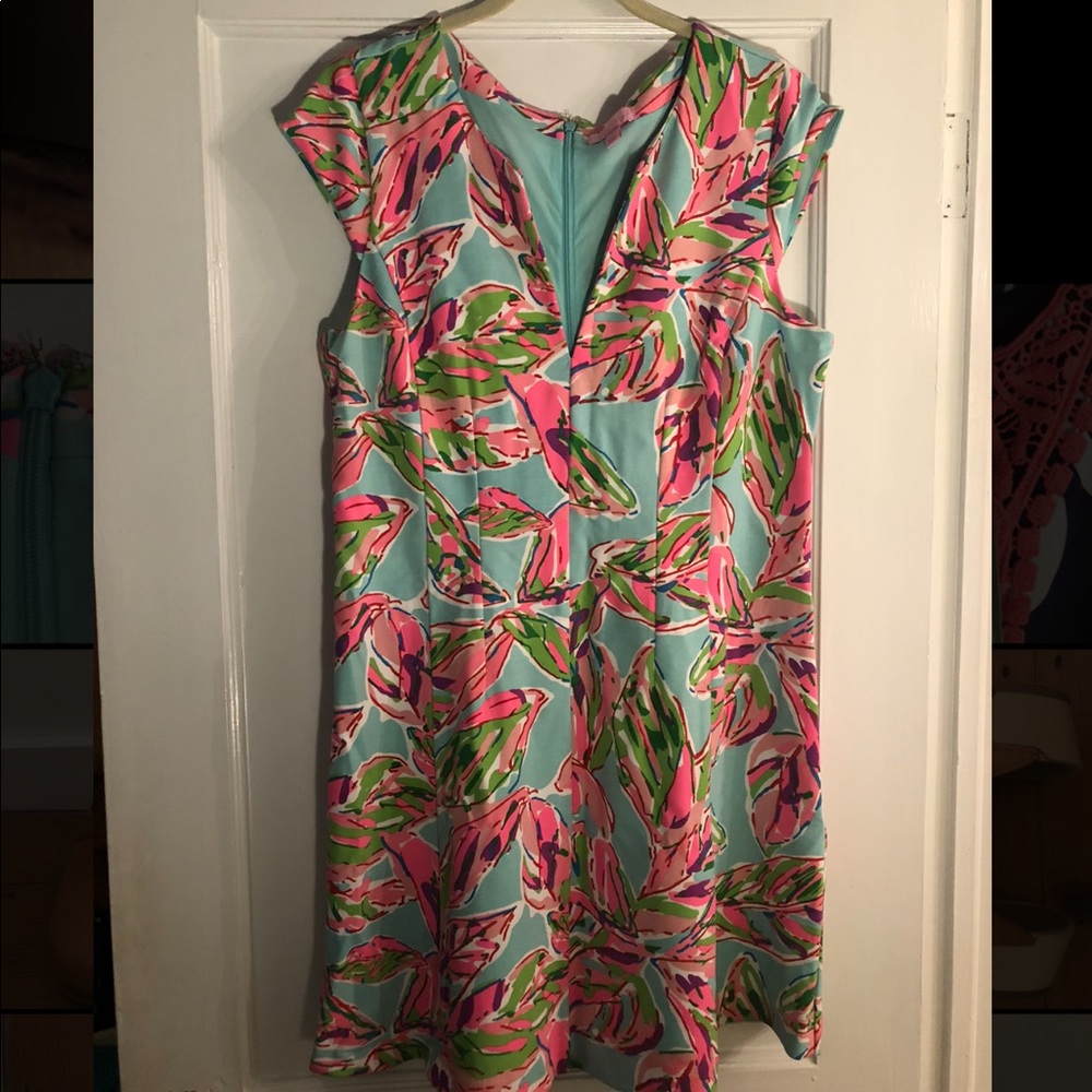 Lilly Pulitzer dress